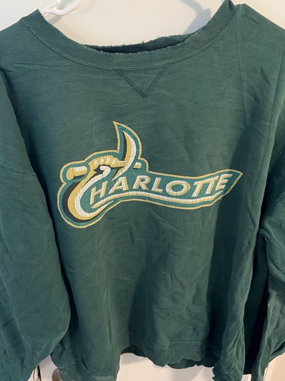 Charlotte Graphic Sweatshirt - Green